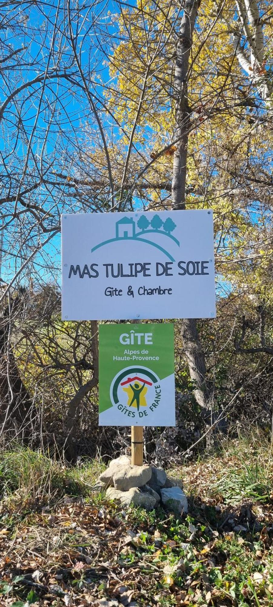 Mas Tulipe De Soie Bed and Breakfast Bevons Exteriör bild